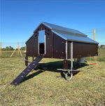 Pollaio per Galline Ovaiole | 25 Animali a Norma