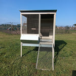 Pollaio in Ferro Gastone