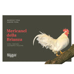 Mericanel della Brianza