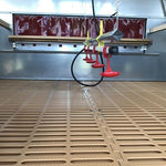 Pollaio Per Allevamento Avicolo | 30 Galline Ovaiole Con Dispositivo Antipredatore