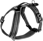 H-förmiges Hundegeschirr | Modell Alpi L