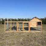 Pollaio ORPINGTON con giardino doppio