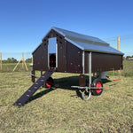 Schlüsselfertige Hühnerhaltung für 25 Hennen ohne Raubtierbekämpfung | Beratung, Ausrüstung und Hühner