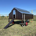 Schlüsselfertige Hühnerhaltung für 25 raubtiersichere Hennen | Beratung, Ausrüstung und Hühner