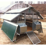 Pollaio Per Allevamento Avicolo | 50 Galline Ovaiole