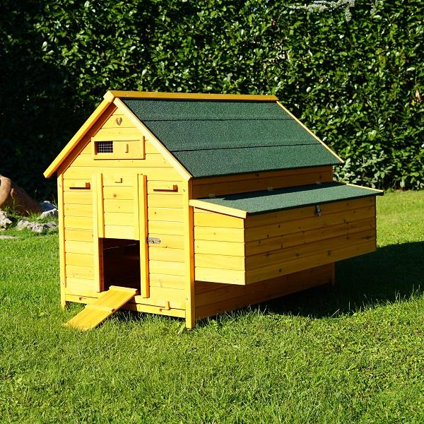Pollaio x 15 galline 3 nidi rialzati 3 posatoi mangiatoia POLLY FARM Pollaio x 15 galline 3 nidi rialzati 3 posatoi mangiatoia POLLY FARM