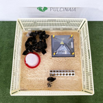 Sägemehl im Küken-Entwöhnungshaus enthalten | 20 Tiere