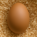 Uovo Finto Di Gallina - Anatra In Ceramica | Color Crema Grandi