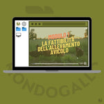 Video Corso Modulo 1: La fattibilità dell'allevamento avicolo Burocrazia e Normative