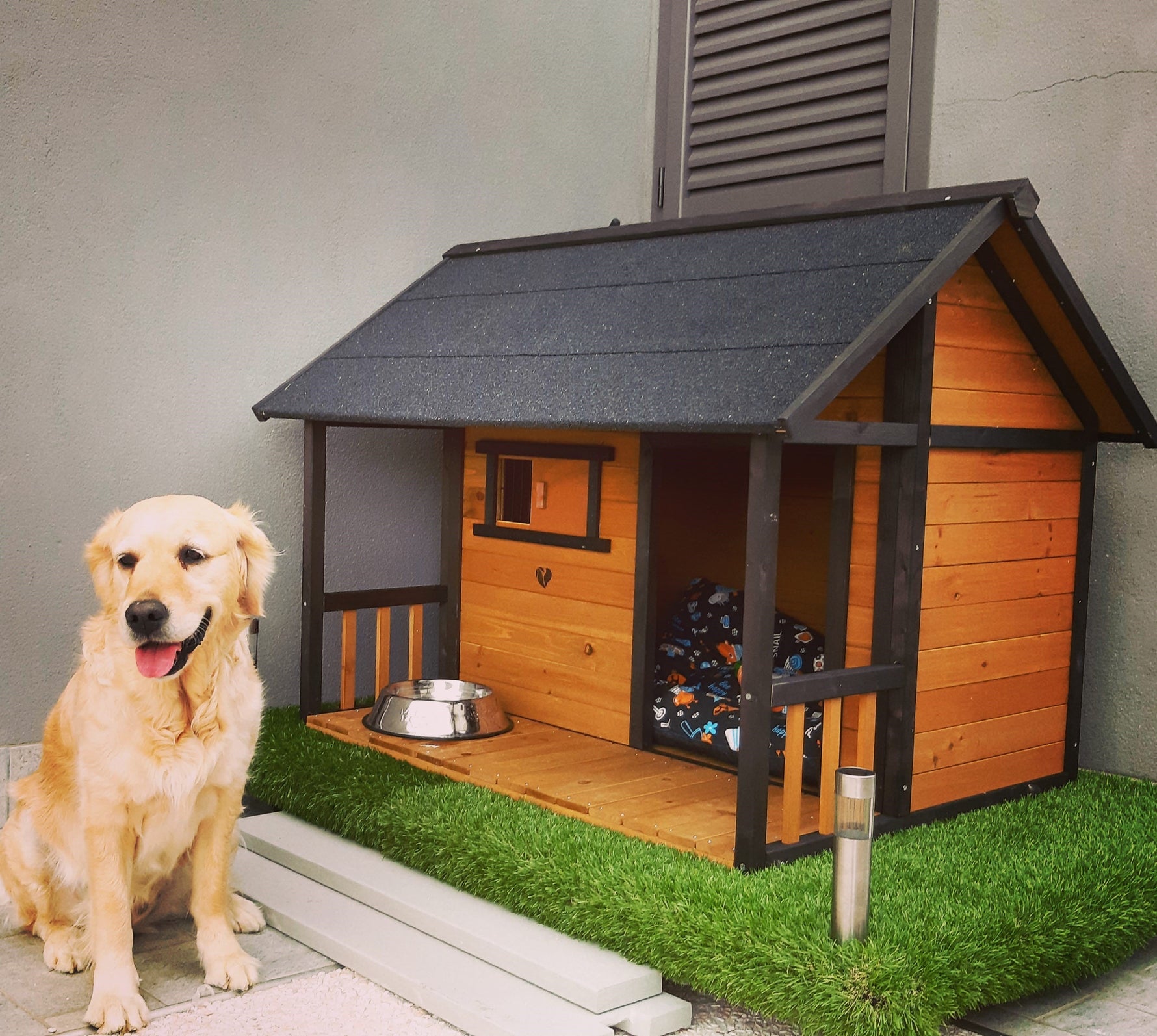 Cucce per Cani di taglia grande: Guida all’acquisto