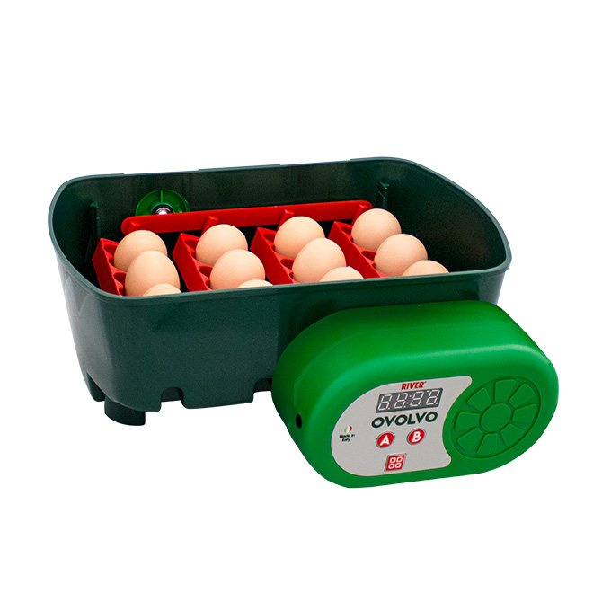 Incubatrice Automatica Funziona con APP | ET-TOP 12 Connessa alla Rete Wi-Fi