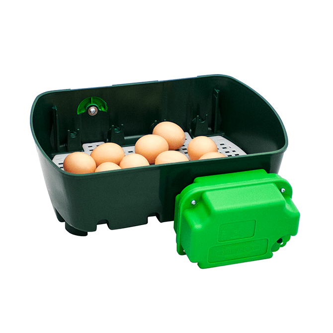 Incubatrice per Uova | Modello ETSUPER 12 Automatica