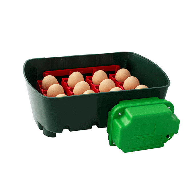 Incubatrice per Uova | Modello ET 12 Automatica