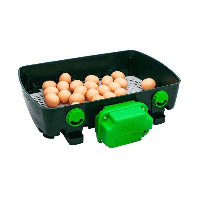 Incubatrice per Uova | Modello ETSUPER 24 Automatica