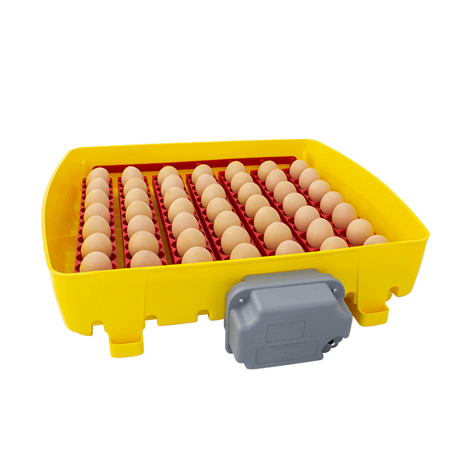 Incubatrice Per Uova | Modello Et 49 Automatica Con Biomaster