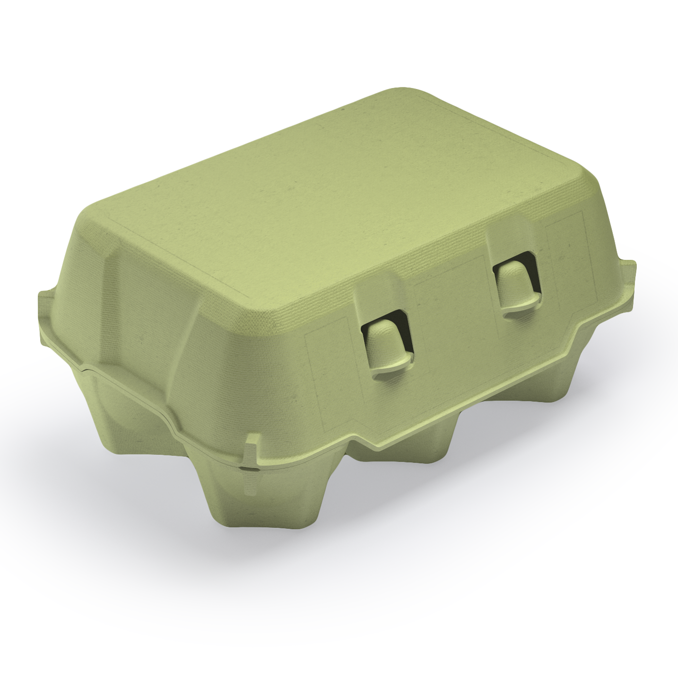 Contenitori Porta Uova | 6 Uova Alimentari Foglia Verde | 134 Pezzi