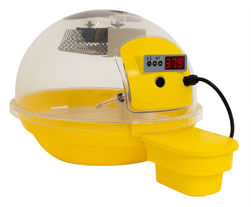 Incubatrice Smart Digitale 24 | Automatica Digitale