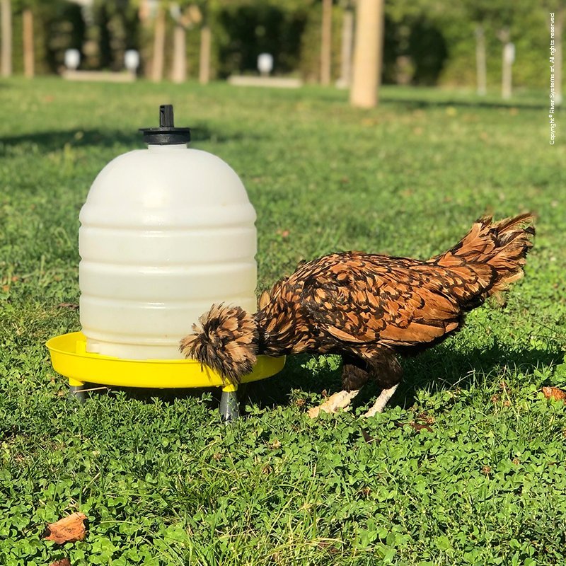 Abbeveratoio A Sifone Con Tappo Superiore, Manico E Piedini | 15 Litri