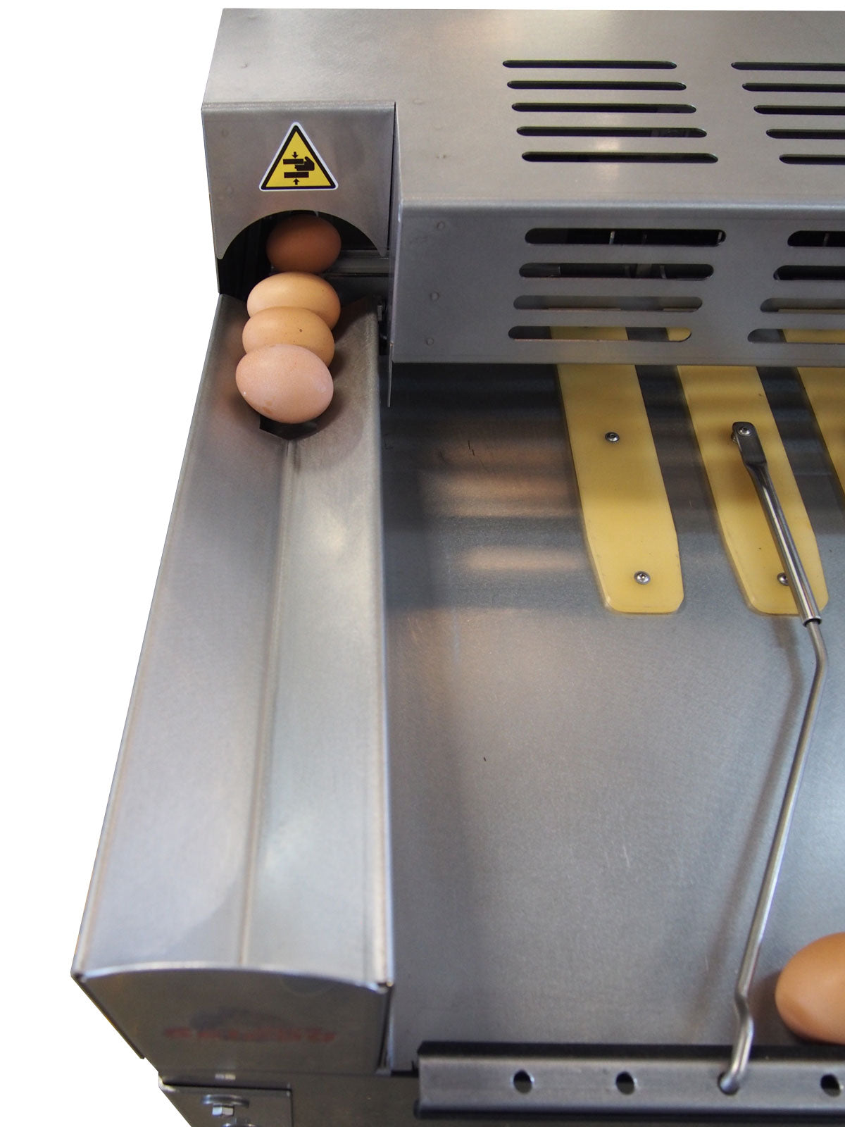Selezionatrice per Uova Alimentari | Con Impianto Stampaggio Uova