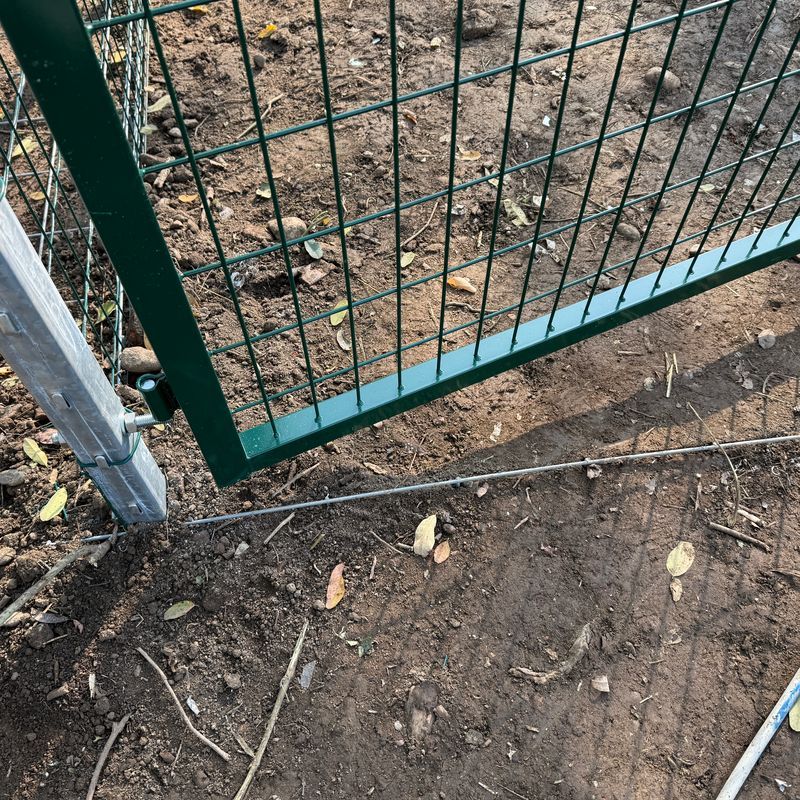 Allevamento Chiavi in Mano 50 Galline NO ANTIPREDATORE | Consulenza-Attrezzatura-Galline