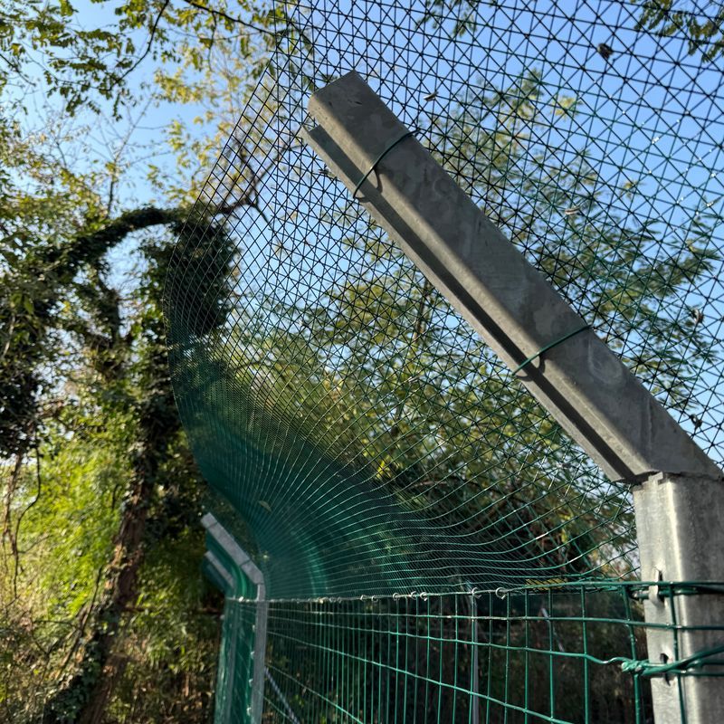 Allevamento Chiavi in Mano 25 Galline ANTIPREDATORE | Consulenza-Attrezzatura-Galline