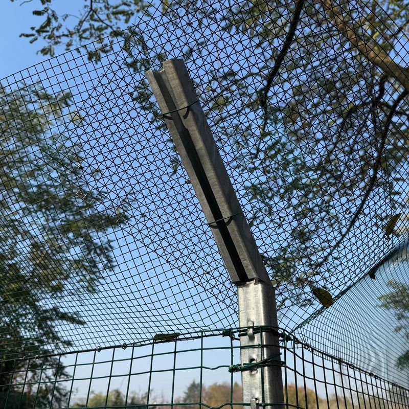 Schlüsselfertige Hühnerhaltung für 100 raubtiersichere Hühner | Beratung, Ausrüstung und Hühner