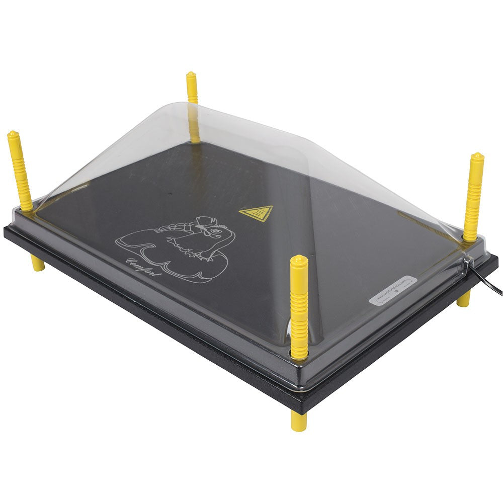 Chioccia Artificiale | 50-55 Pulcini Con Copertura