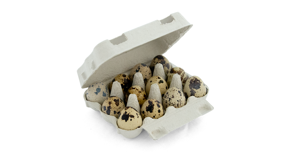 Contenitori Porta Uova | 12 Uova di Quaglia | 100 Pezzi