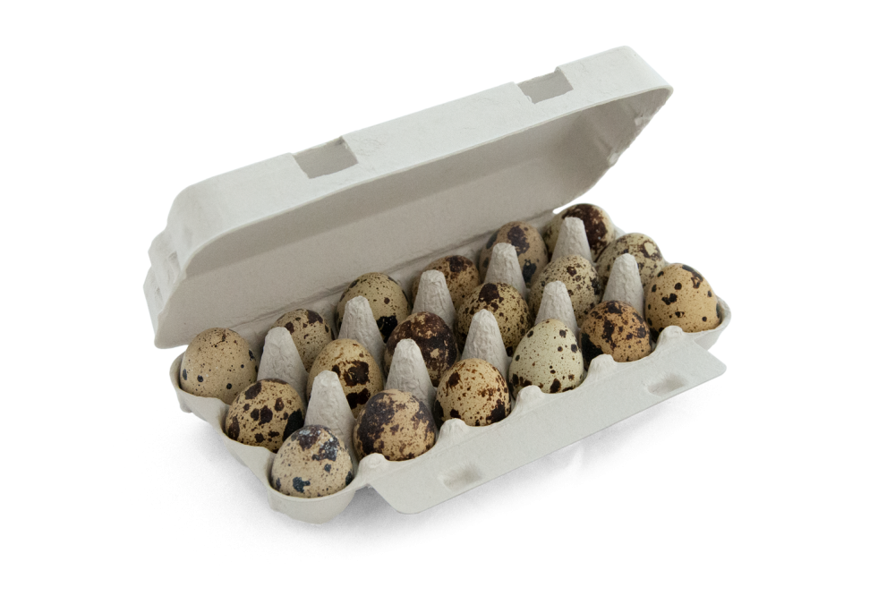 Contenitori Porta Uova | 18 Uova di Quaglia | 100 Pezzi