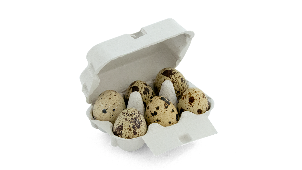 Contenitori Porta Uova | 6 Uova di Quaglia | 200 Pezzi