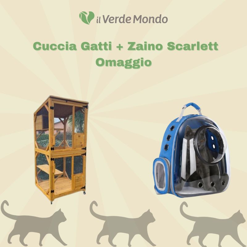 Minou Outdoor-Katzenhaus + Baffy Alleinfuttermittel für Katzen