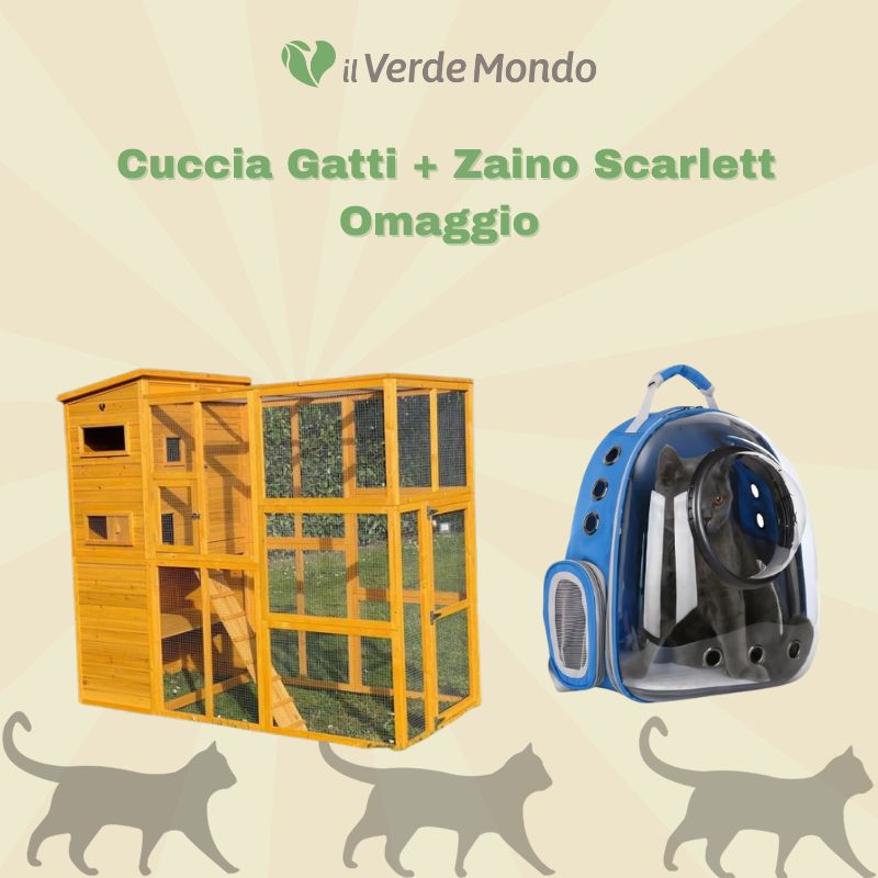Figaro Outdoor-Katzenhaus + Baffy Alleinfuttermittel für Katzen