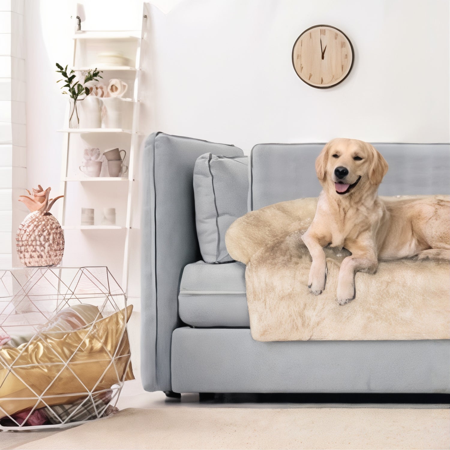 Cuccia da divano morbida L