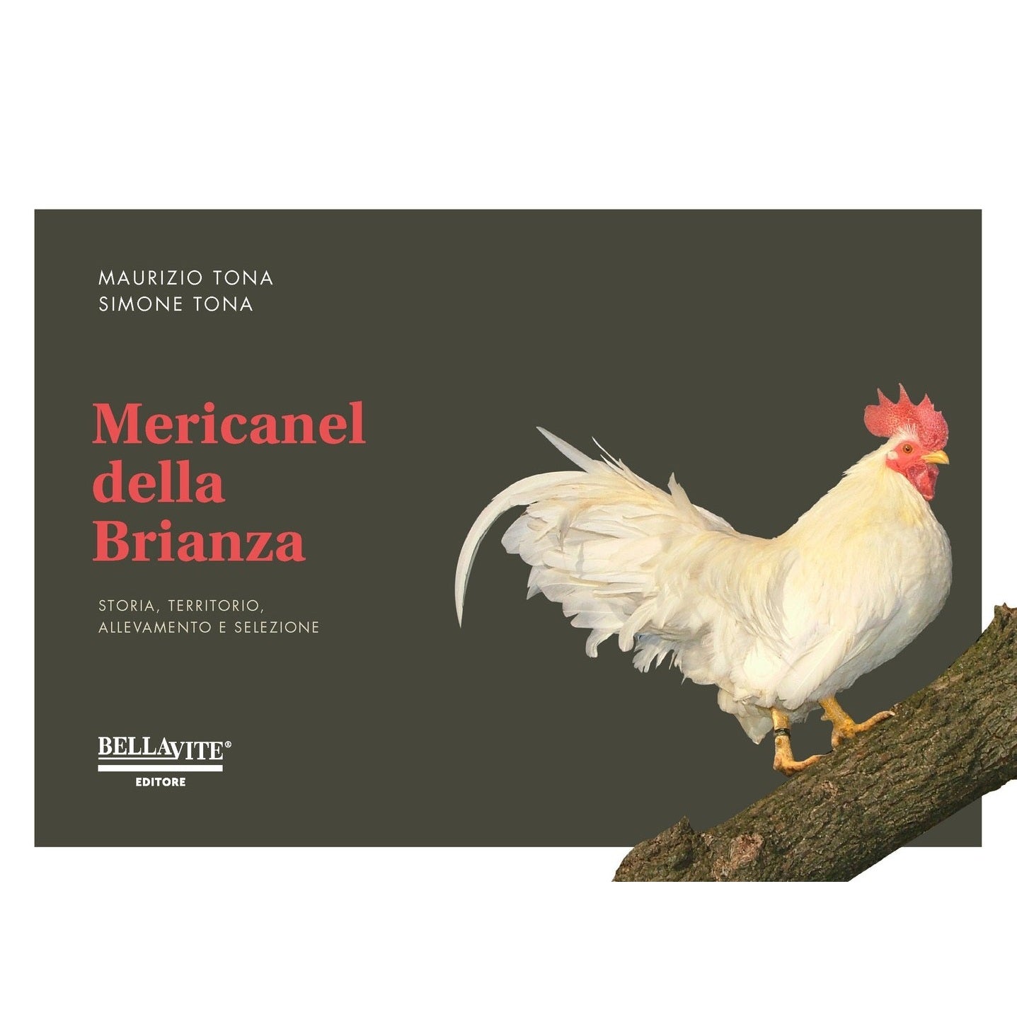 Mericanel della Brianza