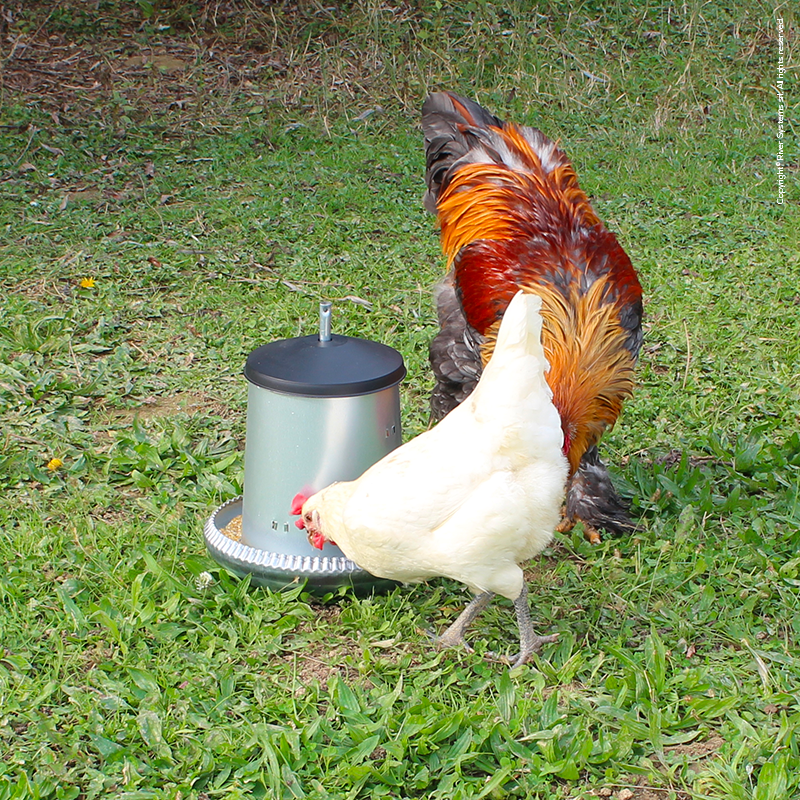 Mangiatoia A Tramoggia In Acciaio Galvanizzato | 8 Litri