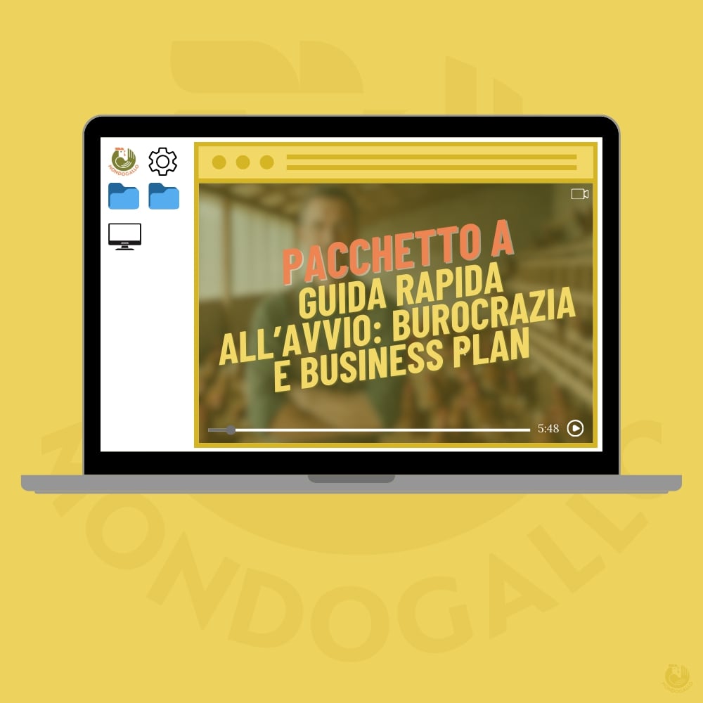 Guida Rapida all'Avvio: Burocrazia e Business Plan