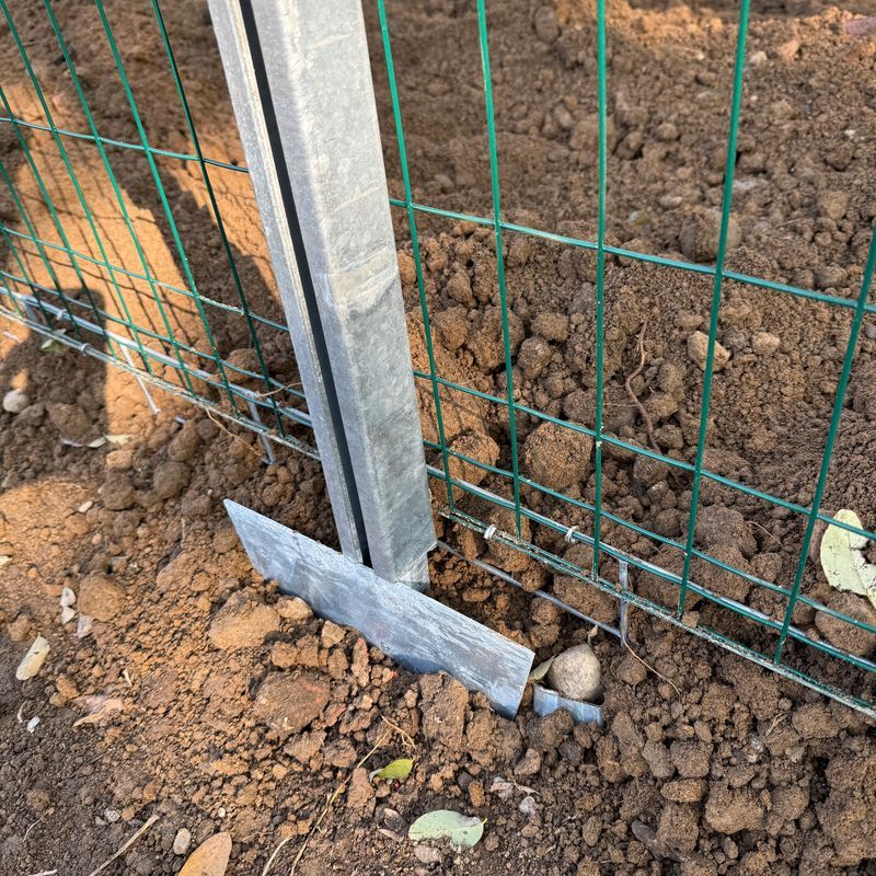 Schlüsselfertige Hühnerhaltung für 100 raubtiersichere Hühner | Beratung, Ausrüstung und Hühner