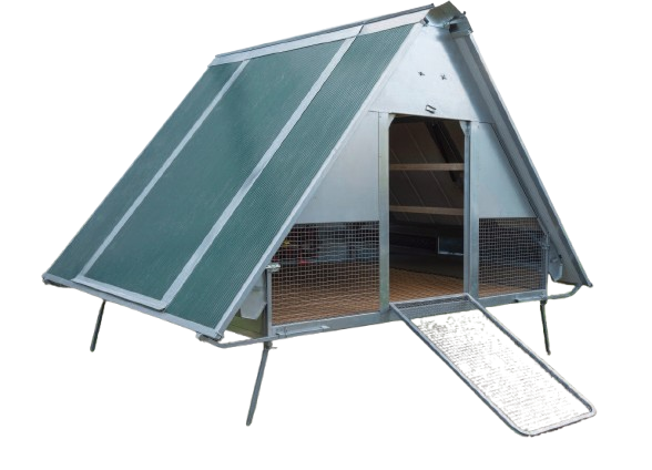 Pollaio Coibentato in Ferro 30 Galline tetto apribile