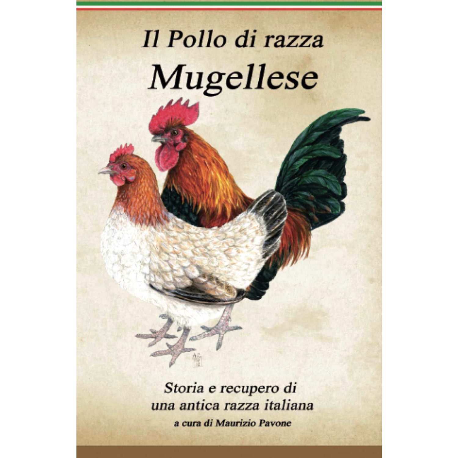 Il Pollo di Razza Mugellese