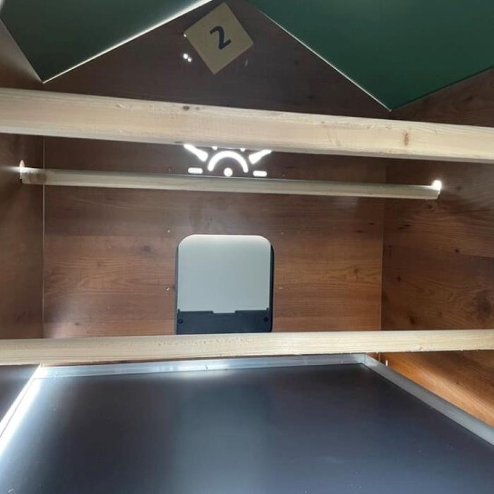 Pollaio per Galline Modello Marans L Con Porta Anti Predatore |  In Laminato Plastico