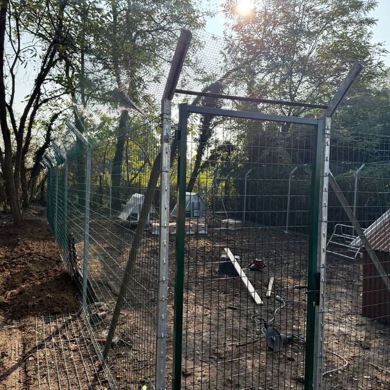 Allevamento Chiavi in Mano 25 Galline ANTIPREDATORE | Consulenza-Attrezzatura-Galline