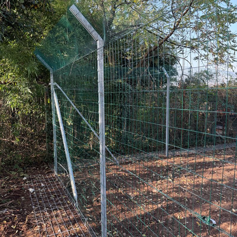 Allevamento Chiavi in Mano 50 Galline NO ANTIPREDATORE | Consulenza-Attrezzatura-Galline