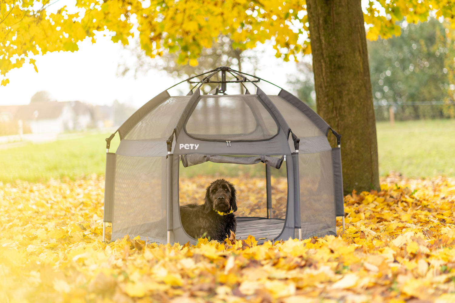 Box cani small con tappetino e copertura color antracite