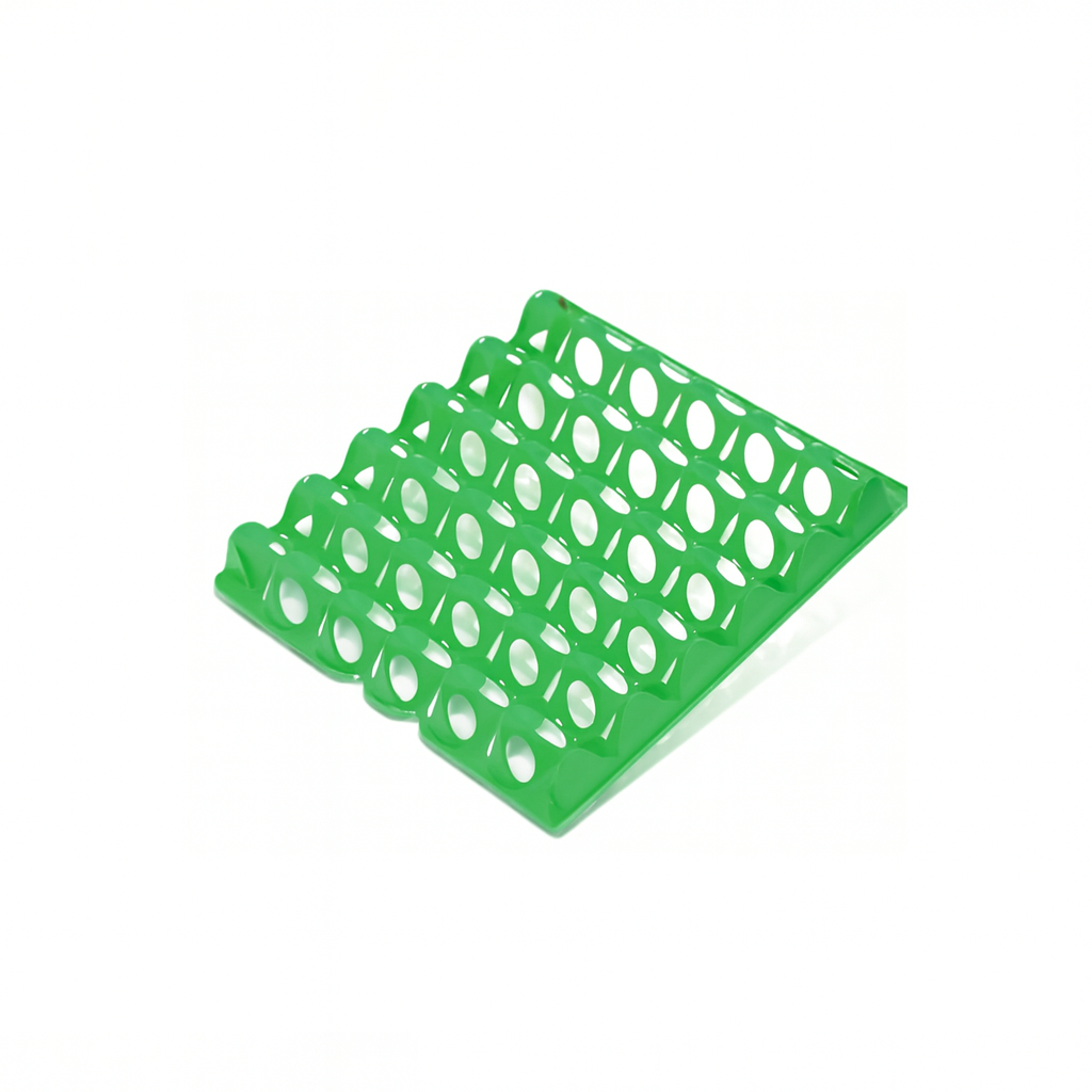 Vassoio Porta Uova in Plastica | Multicolore