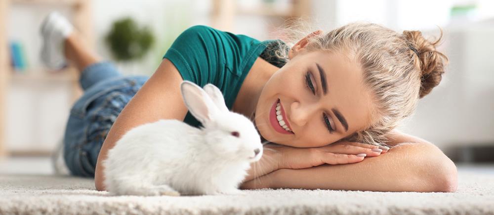 5 regole d’oro per prendersi cura del coniglio di casa