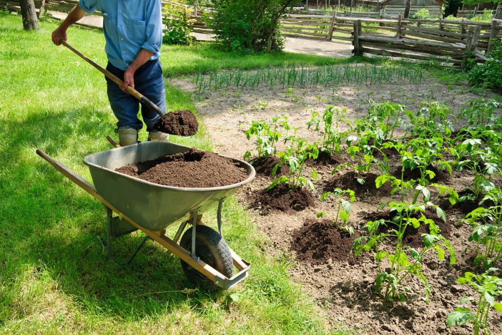 Progettare orto e allevamento: Consigli e considerazioni