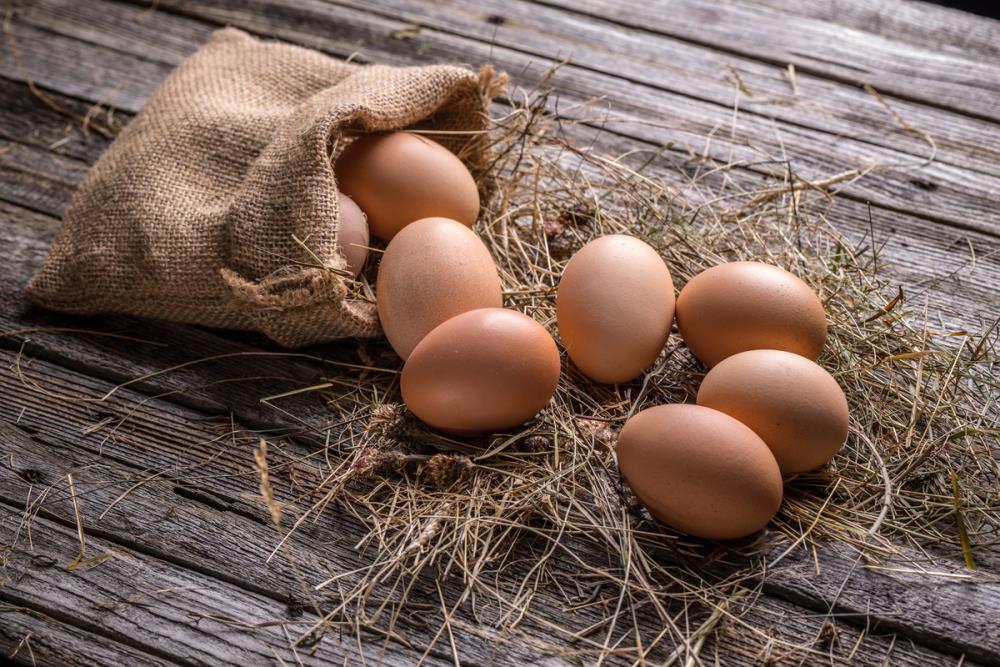 La tua gallina produce uova molli? ecco come risolvere il problema