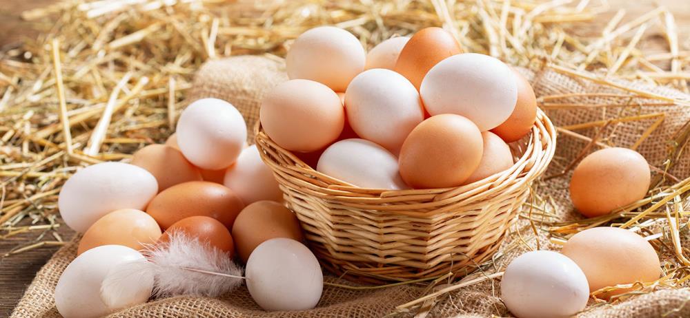 Come conservare le uova fresche di gallina