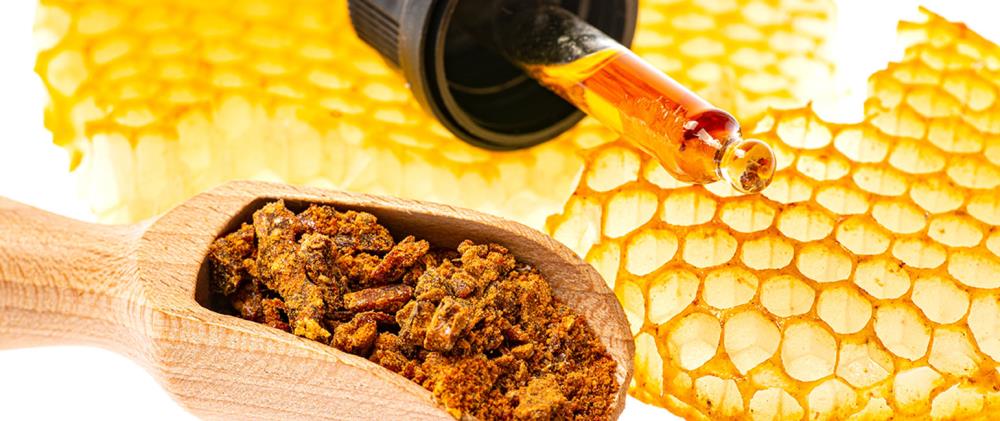 Propoli: cos'è, come viene prodotta dalle api e che benifici ha