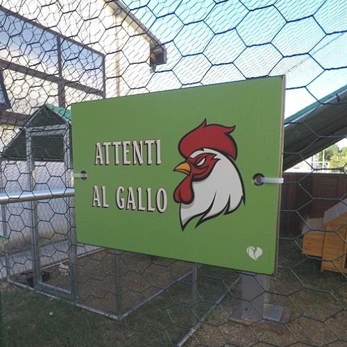 Targhetta per Pollaio | Attenti al Gallo